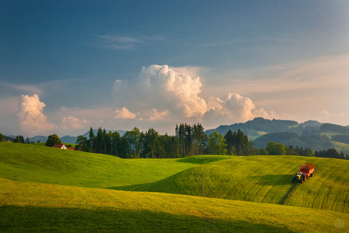 Swiss Landscape